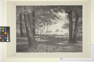 Edge Of The Woods by Bolton Coit Brown
