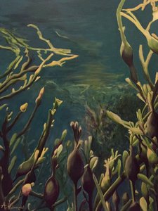 Underwater Kelp Forest by Borgenhag Holmqvist