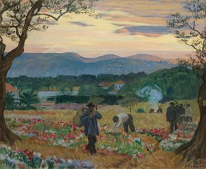 The Harvest Flowers