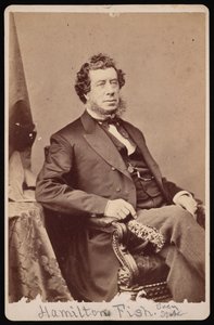 Portrait of Hamilton Fish (1808-1893) (Before 1893)