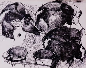 Calves, Damp, Newborn