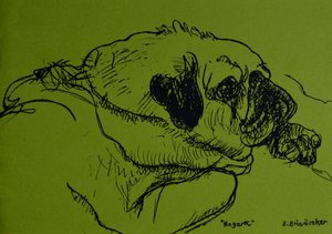Hogarth by Brenda Brin Booker