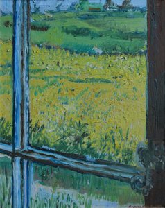 View from the Window