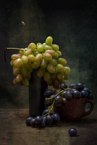 Dark Grapes and Bee by Brig Barkow