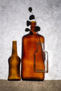 Earthy Bottles Still Life