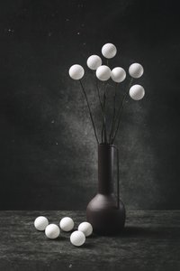 Modern Spherical Still Life by Brig Barkow