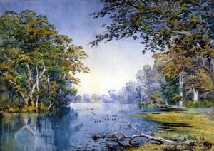A Wooded River by British School