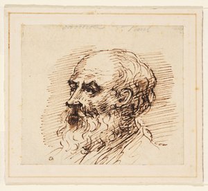 Head of a Bearded Man by British School
