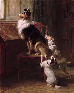 A Reserved Seat by Briton Riviere