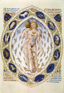 The Human Body and the Horoscope, from "Les Tres riches Heures du Duc de Berry" (miniature)