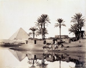 Camels Drinking at the Foot of the Pyramids of Egypt - Photograph by the Zangali Brothers, Late 19th Century by Brothers Zangaki