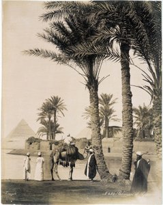 Palm Grove at the Foot of the Pyramids of Egypt - Photograph of the Zangali Brothers, Late 19th Century by Brothers Zangaki