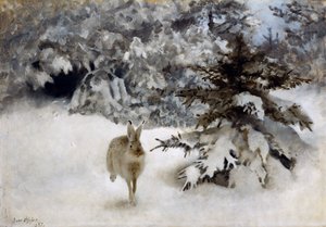 A Hare in the Snow
