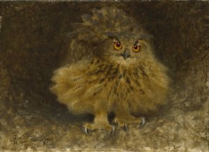 An Eagle Owl