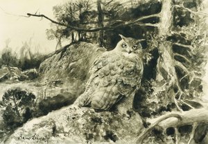 Eagle Owl