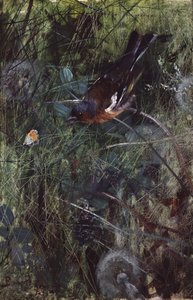 Chaffinch by Bruno Andreas Liljefors