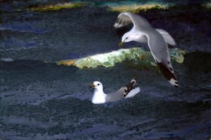 Gulls