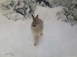 Hare in Winter by Bruno Andreas Liljefors