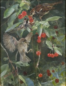 Sparrows in a Cherry Tree by Bruno Andreas Liljefors