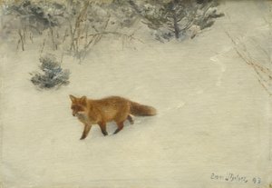 The Fox