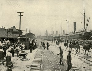 Prisoners Released, Spanish-American War by Burr McIntosh