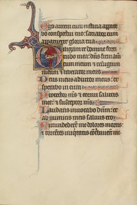 Initial D: A Youth Handing a Crown to David by Bute Master