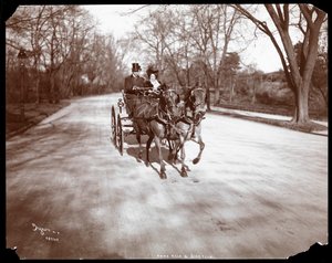 Anna Held and Florenz Ziegfeld driving a horsedrawn carriage, New York, 1904