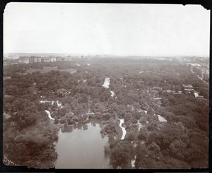 View of Central Park from the Plaza Hotel, 5th Avenue and 59th Street, New York, c.1907 by Byron Company
