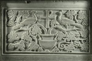 Peacocks and Vines