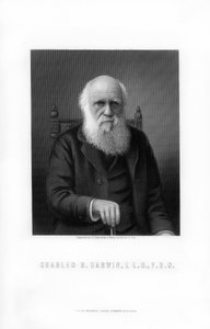 Charles Darwin, British Naturalist