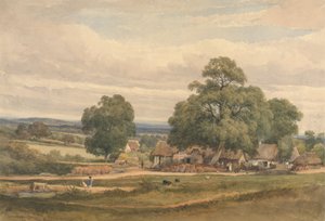 Emerey Down near Lyndhurst, New Forest, Hants by C. John M. Whichelo