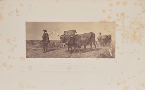 Returning from Labour