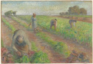 The Beet Harvest (La Récolte des Betteraves), 1881 by Camille Jacob Pissarro