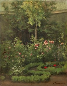 A Rose Garden
