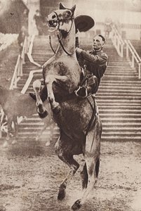 Cowboy in control of a rearing horse