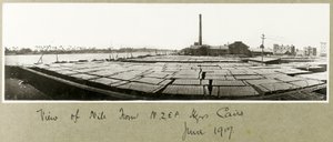 View of the Nile from N.Z.M.F.A. Headquarters, Cairo, June 1917 by Capt. Arthur Rhodes