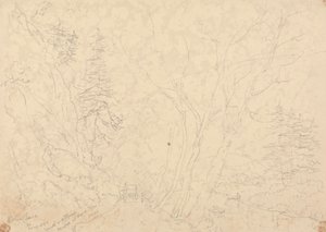 Holne Chase, 30 May 1833 by Capt. Thomas Hastings