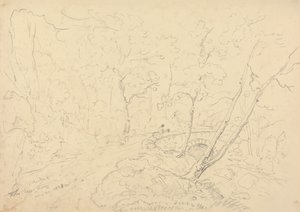 Holne Chase Bridge and River, 30 May 1833 by Capt. Thomas Hastings