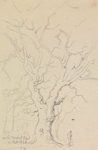 On the Newport Road, 12 February 1826 by Capt. Thomas Hastings