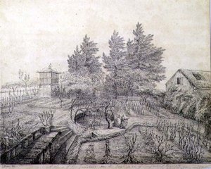 A View of Napoleon I