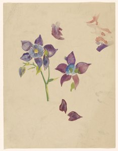 Flower Study by Carel Adolph Lion Cachet