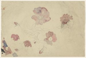 Flower Studies in Purple and Pink by Carel Adolph Lion Cachet