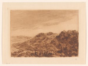 Dune Landscape near The Hague