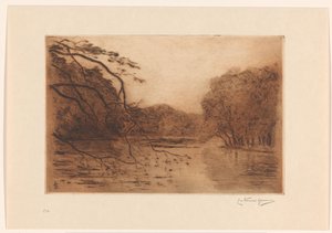 Pond in the Hague Forest by Carel Nicolaas Storm van 