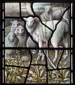 The Shepherds Church, Shepherding, Sheep
