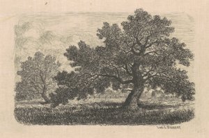 Apple Trees