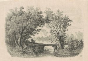 Willows
