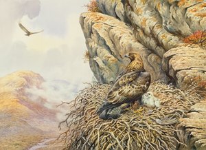 Golden Eagles at Eyrie by Carl Donner