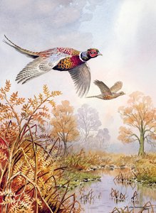 Over the Fen