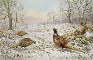 Pheasant and Partridges in a Snowy Landscape